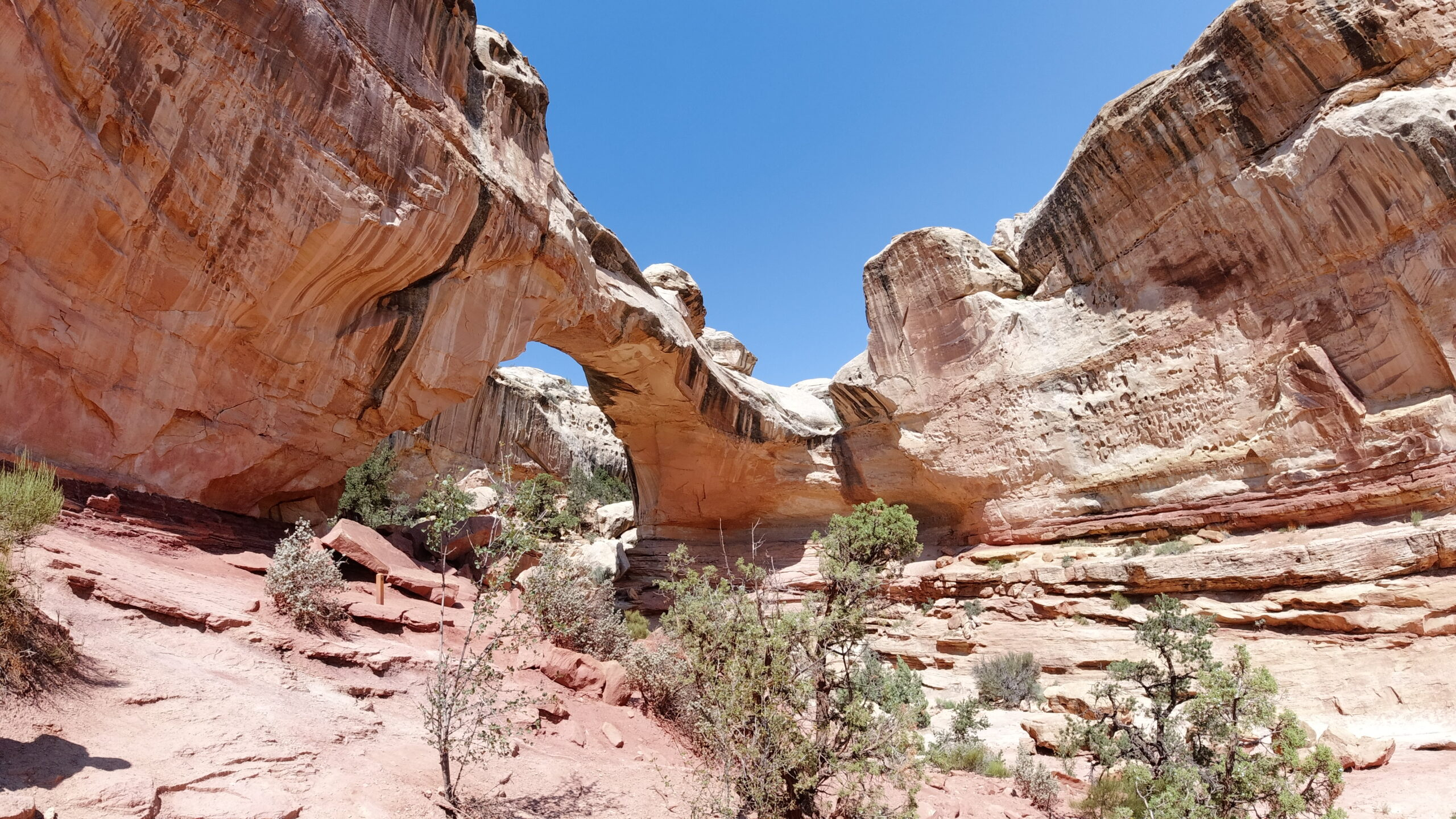 Arches National Park, Grand County, Utah