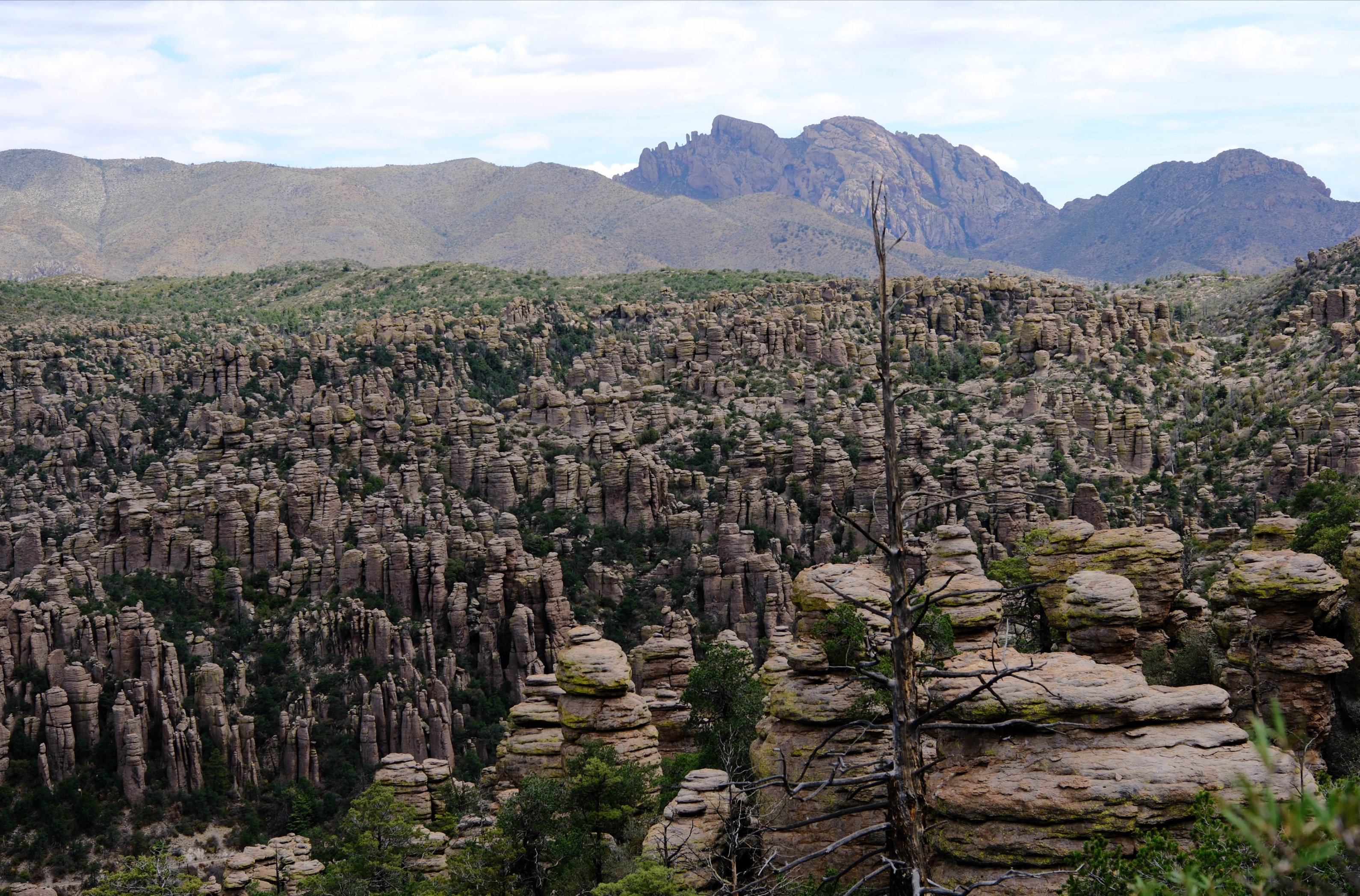 The Chiricahua National Monument…a color perspective!