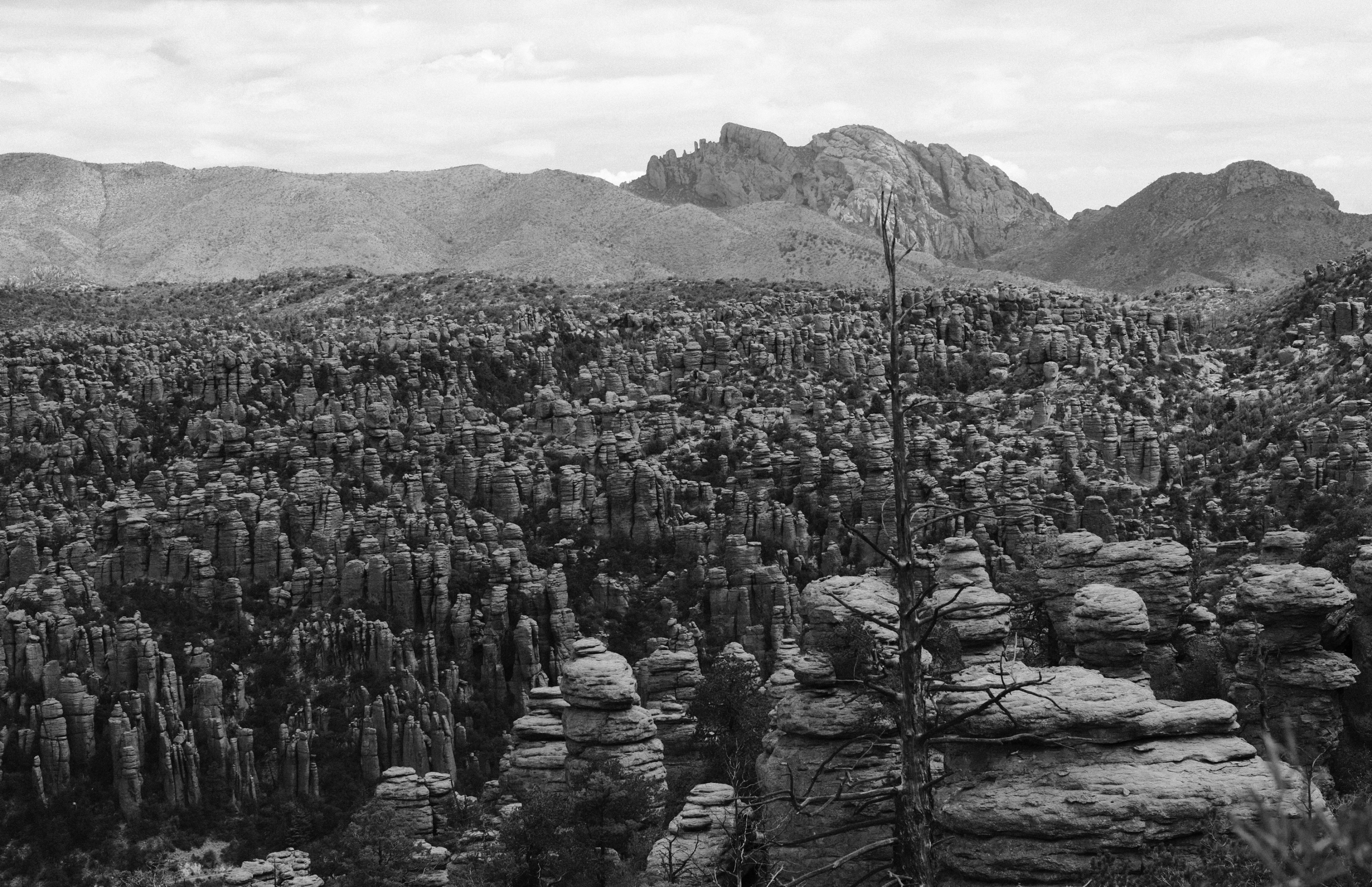 The Chiricahua National Monument…a black and white perspective!