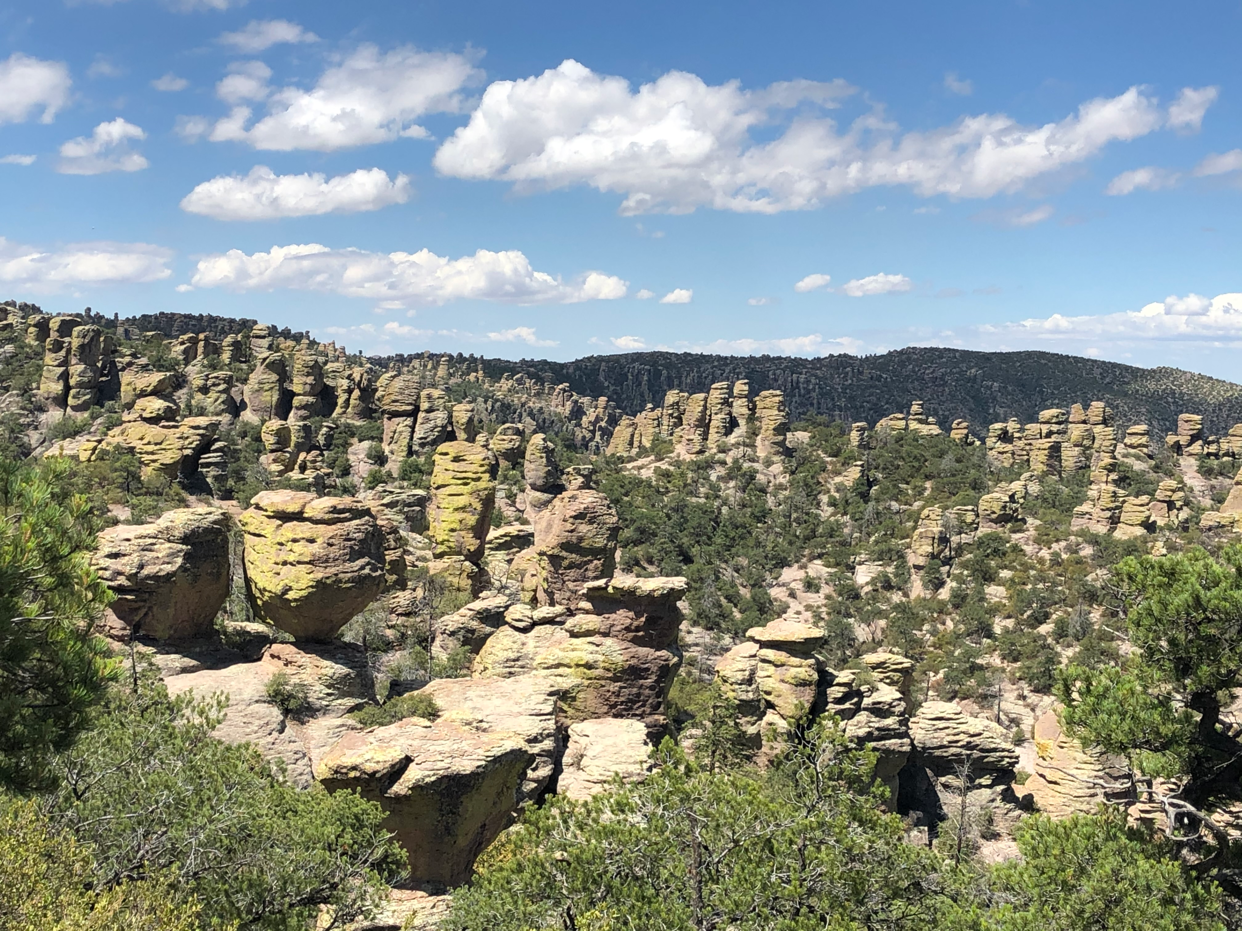 Chiricahua National Monument, 2020 Ride