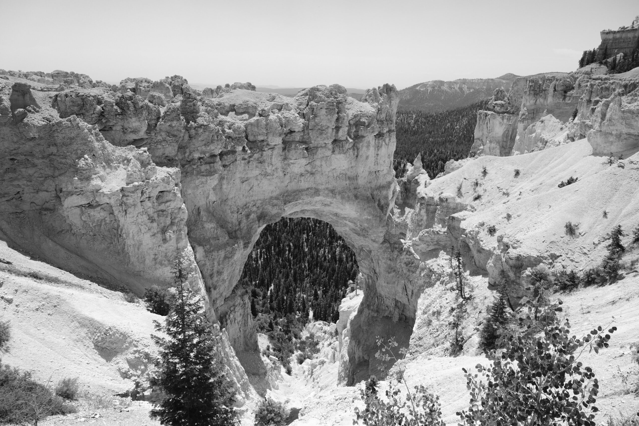 Bryce Canyon – Black and white perspective 2025